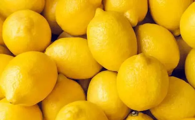 lemon fraud: నిమ్మకాయల స్కామ్.. జైలు సూపరింటెండెంట్ సస్పెన్షన్ lemon fraud: నిమ్మకాయల స్కామ్.. జైలు సూపరింటెండెంట్ సస్పెన్షన్