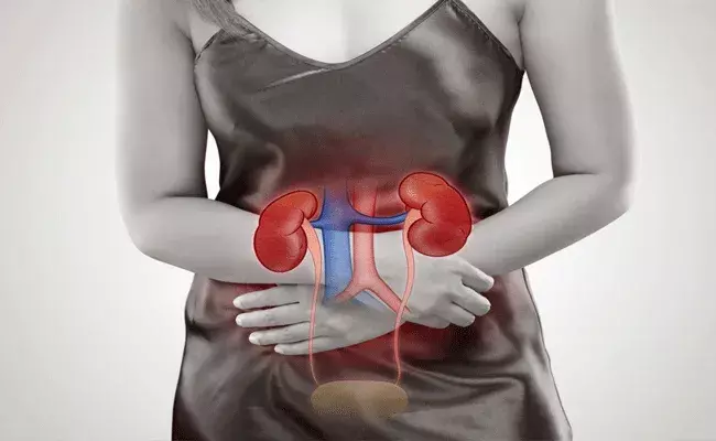 Urinary Tract Infections: యూరినరీ ఇన్ఫెక్షన్స్ తో ఇబ్బంది పడుతుంటే ఇలా చేసి చూడండి.. Urinary Tract Infections: యూరినరీ ఇన్ఫెక్షన్స్ తో ఇబ్బంది పడుతుంటే ఇలా చేసి చూడండి..
