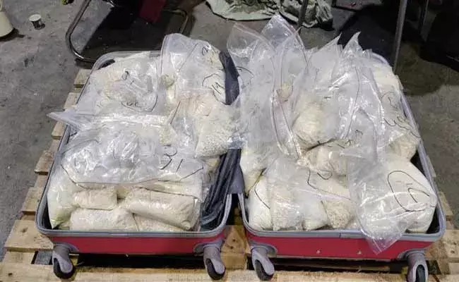 Delhi : ఢిల్లీ అంతర్జాతీయ కార్గోలో భారీగా డ్రగ్స్ పట్టివేత.. రూ.434 విలువైన హెరాయిన్ సీజ్