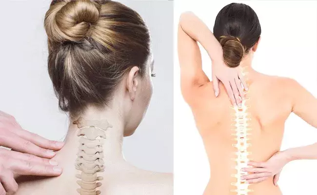 Healthy Spine: మహిళలను వేధించే వెన్నునొప్పి.. నివారణ మార్గాలు.. Healthy Spine: మహిళలను వేధించే వెన్నునొప్పి.. నివారణ మార్గాలు..