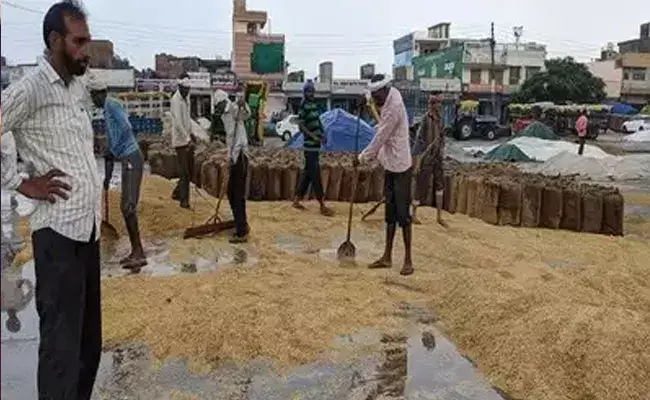 Telangana: కొనుగోలు లక్ష్యాన్ని అందుకోలేకపోతున్న ధాన్యం.. వర్షాల్లో కుప్పలు.. Telangana: కొనుగోలు లక్ష్యాన్ని అందుకోలేకపోతున్న ధాన్యం.. వర్షాల్లో కుప్పలు..