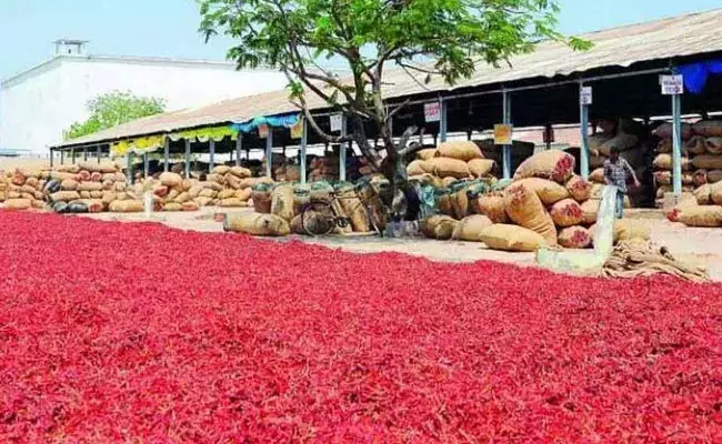 Guntur: గుంటూరు రాజకీయాల్లో మిర్చియార్డు ఘాటు.. ఛైర్మన్, వైఎస్‌ ఛైర్మన్‌ ఎవరని ఉత్కంఠ..