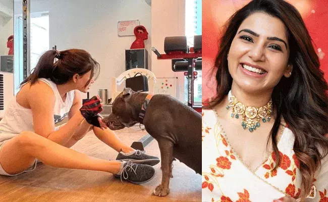 Samantha Ruth Prabhu: అదే జరిగితే నేను చాలా అదృష్టవంతురాలిని: సమంత Samantha Ruth Prabhu: అదే జరిగితే నేను చాలా అదృష్టవంతురాలిని: సమంత