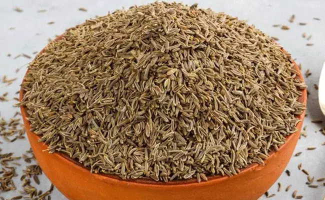 Jeera Water: జీరా వాటర్.. బరువు తగ్గడానికి, కొవ్వును కరిగించడానికి.. Jeera Water: జీరా వాటర్.. బరువు తగ్గడానికి, కొవ్వును కరిగించడానికి..