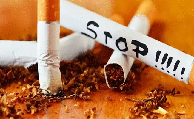 World No Tobacco Day: ప్రపంచ పొగాకు వ్యతిరేక దినోత్సవం.. ద్రాక్ష రసంతో నికోటిన్ ప్రభావానికి చెక్.. World No Tobacco Day: ప్రపంచ పొగాకు వ్యతిరేక దినోత్సవం.. ద్రాక్ష రసంతో నికోటిన్ ప్రభావానికి చెక్..