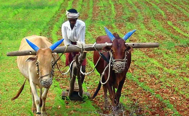 PM Kisan Yojana : బ్యాంక్ ఖాతాల్లోకి పీఎం కిసాన్ 11 విడత డబ్బులు..!