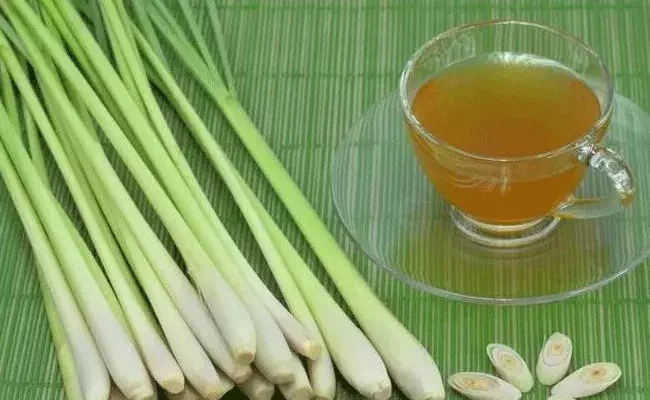 Lemon Grass Oil: లెమన్ గ్రాస్ ఆయిల్ తో ఎన్ని లాభాలో.. జుట్టుకు, చర్మానికి.. Lemon Grass Oil: లెమన్ గ్రాస్ ఆయిల్ తో ఎన్ని లాభాలో.. జుట్టుకు, చర్మానికి..
