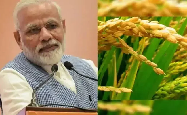 MSP: పంటల మద్దతు ధరపై కేంద్ర కేబినెట్ కీలక నిర్ణయాలు.. 17 పంటలకు ఎంతెంతంటే.? MSP: పంటల మద్దతు ధరపై కేంద్ర కేబినెట్ కీలక నిర్ణయాలు.. 17 పంటలకు ఎంతెంతంటే.?