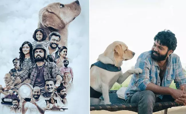 777 Charlie Review: 777 చార్లీ రివ్యూ.. మనసుకు హత్తుకుపోయే పెట్ కథ..