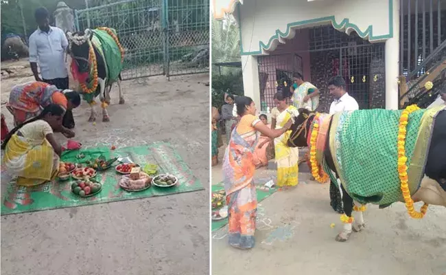 Anantapur: అనంతపురంలో ఆవుకు సీమంతం.. చీర, పూలు, పిండి పదార్ధాలతో ఘనంగా.. Anantapur: అనంతపురంలో ఆవుకు సీమంతం.. చీర, పూలు, పిండి పదార్ధాలతో ఘనంగా..