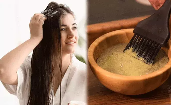 Hair Fall Control Mask: జుట్టు రాలకుండా ఉండేందుకు నేచురల్ మాస్క్.. ఇంట్లోనే ఈజీగా.. Hair Fall Control Mask: జుట్టు రాలకుండా ఉండేందుకు నేచురల్ మాస్క్.. ఇంట్లోనే ఈజీగా..