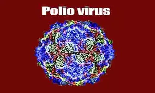 Polio Virus: భారత్‌లో మరోసారి పోలియో వైరస్​ కలకలం.. ఎనిమిదేళ్ల తర్వాత..