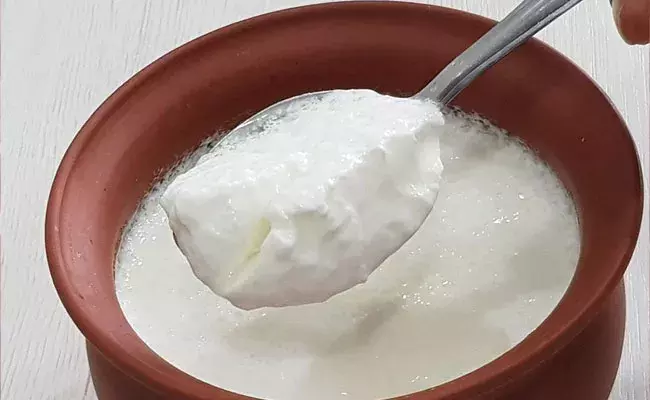Curd: పెరుగుతో ప్రయోజనాలెన్నో.. కానీ కొన్ని ఆహార పదార్థాలతో కలిపితింటే.. Curd: పెరుగుతో ప్రయోజనాలెన్నో.. కానీ కొన్ని ఆహార పదార్థాలతో కలిపితింటే..