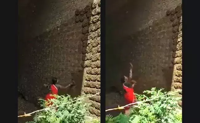 Video Viral: వాటే టాలెంట్ గురూ.. ఆమె ప్రతిభకు ఐఏఎస్ అధికారి ఫిదా.. Video Viral: వాటే టాలెంట్ గురూ.. ఆమె ప్రతిభకు ఐఏఎస్ అధికారి ఫిదా..