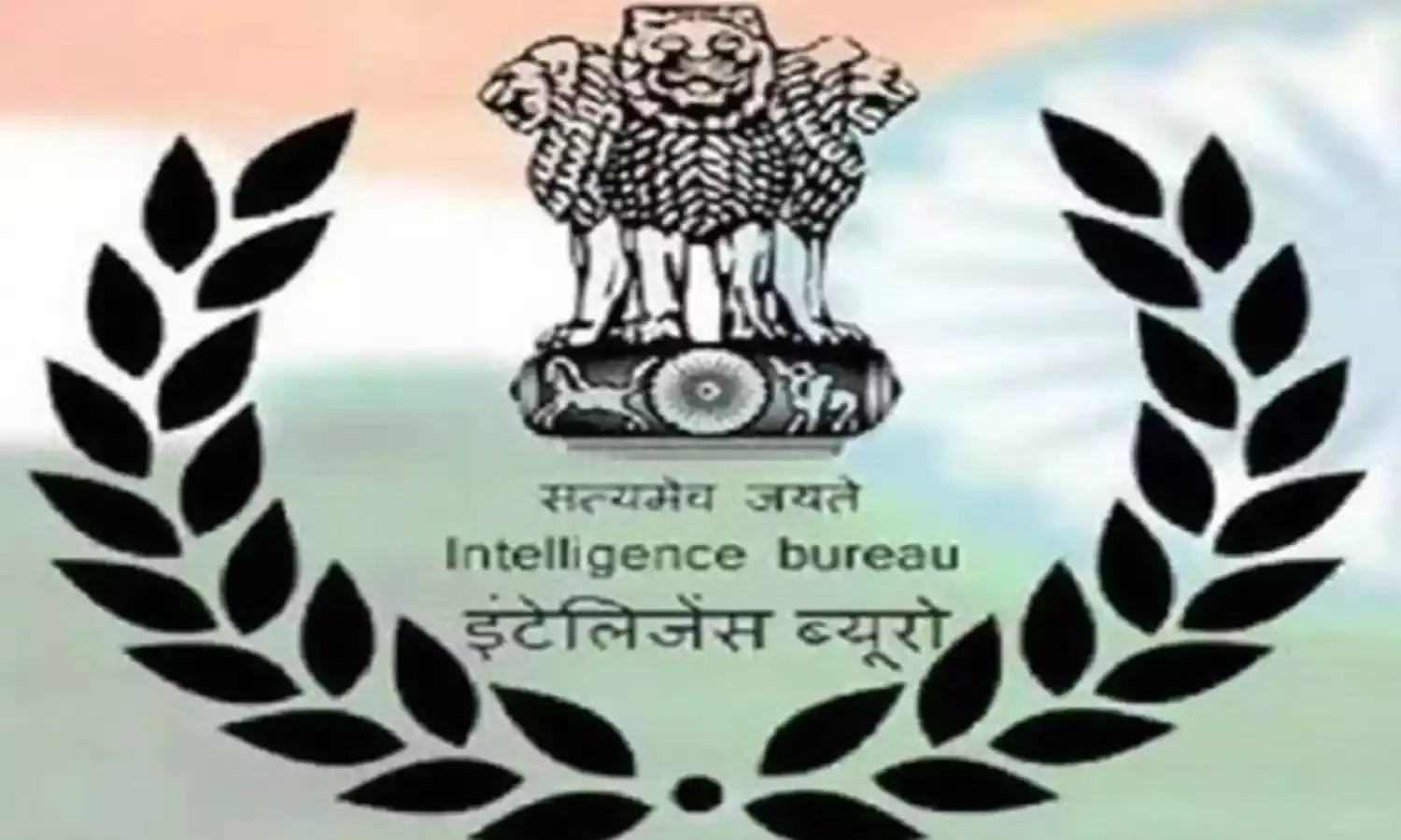 Intelligence Bureau Recruitment 2022: 8,10, డిగ్రీ అర్హతతో ఇంటిలిజెన్స్ బ్యూరోలో ఉద్యోగాలు.. జీతం రూ. Intelligence Bureau Recruitment 2022: 8,10, డిగ్రీ అర్హతతో ఇంటిలిజెన్స్ బ్యూరోలో ఉద్యోగాలు.. జీతం రూ.