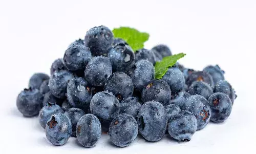 Blueberries: బ్లూబెర్రీస్.. బీపీ కంట్రోల్తో పాటు మరిన్ని ఆరోగ్య ప్రయోజనాలు.. Blueberries: బ్లూబెర్రీస్.. బీపీ కంట్రోల్తో పాటు మరిన్ని ఆరోగ్య ప్రయోజనాలు..
