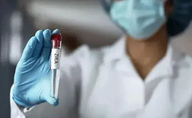 Maharastra : మహారాష్ట్రలో విజృంభిస్తున్న కలరా జికా వైరస్