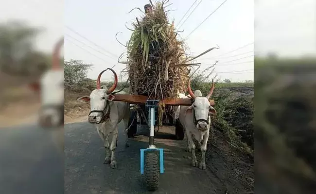 Viral News: ఇన్నోవేటివ్ ఎడ్ల బండి.. విద్యార్థి వినూత్న ప్రయత్నం..