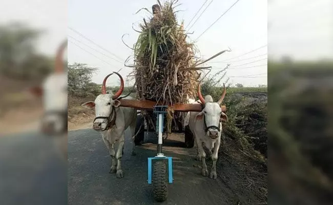 Viral News: ఇన్నోవేటివ్ ఎడ్ల బండి.. విద్యార్థి వినూత్న ప్రయత్నం.. Viral News: ఇన్నోవేటివ్ ఎడ్ల బండి.. విద్యార్థి వినూత్న ప్రయత్నం..