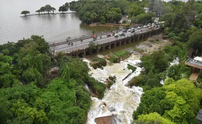 Rajanna Sircilla: రాజన్న సిరిసిల్లలో విషాదం.. దాదాపు 100 ఆవులు మృత్యువాత.. Rajanna Sircilla: రాజన్న సిరిసిల్లలో విషాదం.. దాదాపు 100 ఆవులు మృత్యువాత..