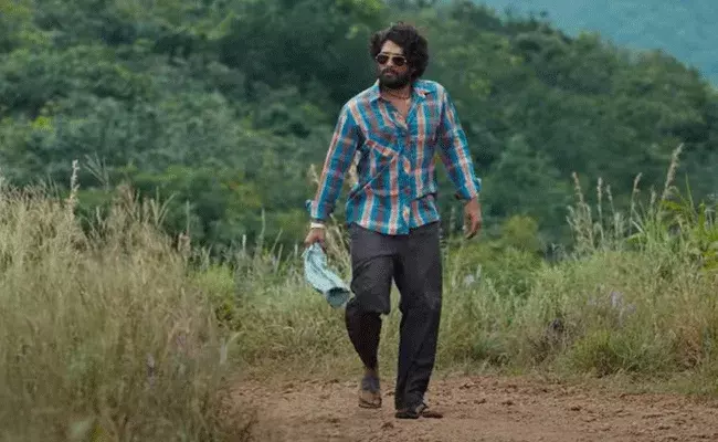 Allu Arjun : పుష్ప సిగ్నేచర్ వాక్ ఐడియా అలా వచ్చింది : అల్లు అర్జున్