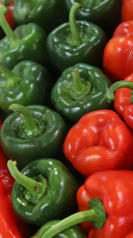 చర్మం ఆరోగ్యంగా ఉండాలంటే ఇవి తినండి