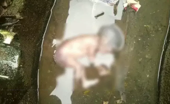 Peddapalli: పెద్దపల్లి జిల్లాలో దారుణం.. మురికి కాల్వలో కొట్టుకొచ్చిన శిశువు.. Peddapalli: పెద్దపల్లి జిల్లాలో దారుణం.. మురికి కాల్వలో కొట్టుకొచ్చిన శిశువు..