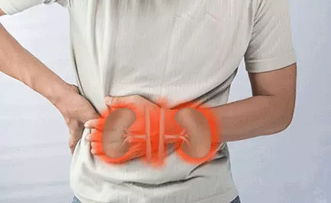 Andhra Pradesh: ఏపీలో కిడ్నీ వ్యాధుల కలకలం.. మరొకరు మృతి..