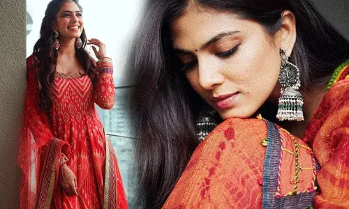 Malavika Mohanan: బర్త్ డే గర్ల్ మాళవికా గురించి ఆసక్తికర విషయాలు.. అందమైన ఫోటోలు..