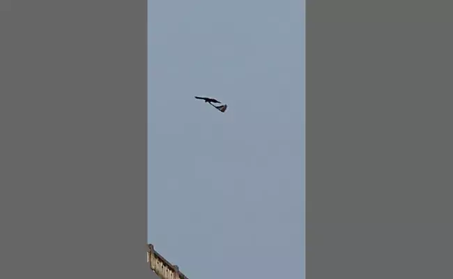 Karimnagar: జాతీయ జెండాను నోట కర్చుకొని విహరించిన పక్షి.. వీడియో వైరల్..