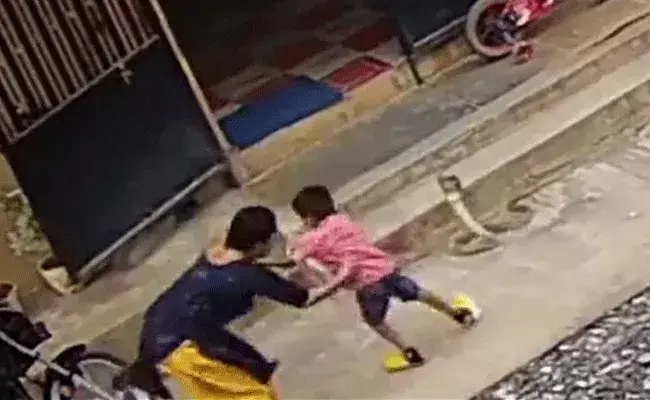 Karnataka: పాముకు ఎదురెళ్లిన తల్లి ప్రేమ.. కొడుకును కాపాడుకోవడం కోసం..