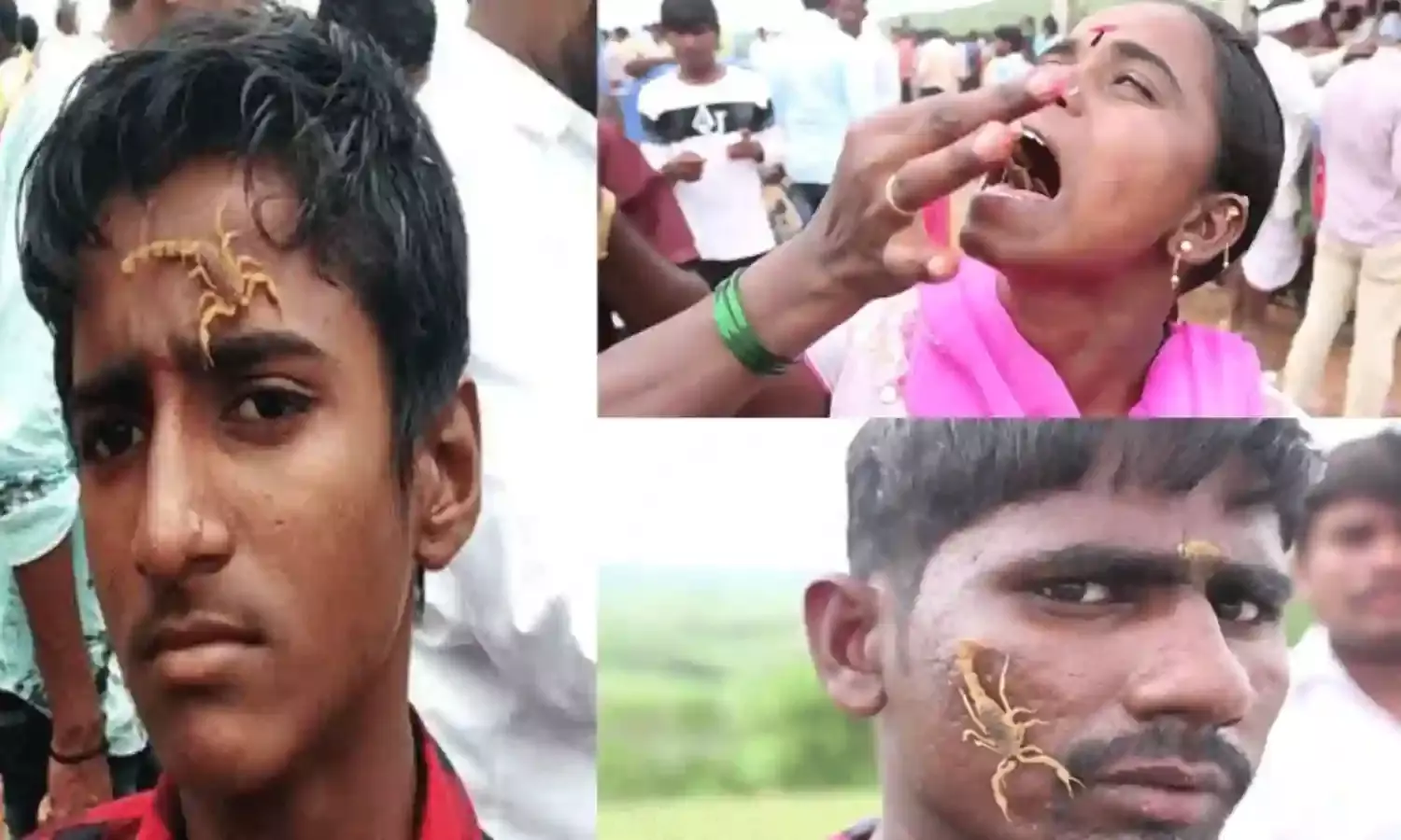 Scorpion Festival : అక్కడ తేళ్లతో పండగ చేసుకుంటారు..