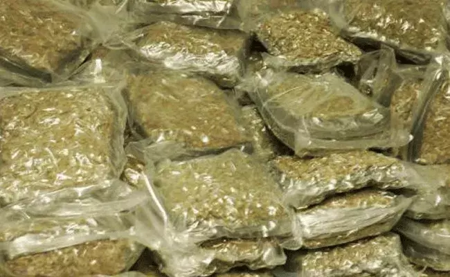 Rachakonda Police : ఇంటర్ స్టేట్ గంజాయి ముఠా అరెస్ట్.. భారీ మొత్తంలో పట్టివేత.. Rachakonda Police : ఇంటర్ స్టేట్ గంజాయి ముఠా అరెస్ట్.. భారీ మొత్తంలో పట్టివేత..