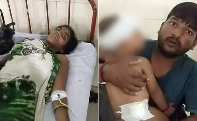 Madhya Pradesh: అమ్మ ప్రేమ.. పులితో పోరాడి బిడ్డను కాపాడుకుంది.. Madhya Pradesh: అమ్మ ప్రేమ.. పులితో పోరాడి బిడ్డను కాపాడుకుంది..