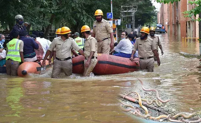 Bangalore Snakes : బెంగళూరును వణికిస్తున్న పాములు.. రెండు రోజుల్లోనే వందల పాము కాట్లు..