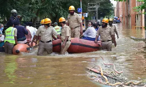 Bangalore Snakes : బెంగళూరును వణికిస్తున్న పాములు.. రెండు రోజుల్లోనే వందల పాము కాట్లు.. Bangalore Snakes : బెంగళూరును వణికిస్తున్న పాములు.. రెండు రోజుల్లోనే వందల పాము కాట్లు..
