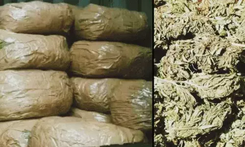 Shamshabad : శంషాబాద్లో భారీ గంజాయి పట్టివేత.. Shamshabad : శంషాబాద్లో భారీ గంజాయి పట్టివేత..