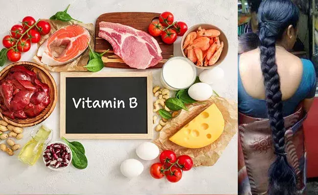 Healthy Hair: అందమైన, ఆరోగ్యమైన జుట్టు కోసం ఆహారంలో బి-విటమిన్స్.. Healthy Hair: అందమైన, ఆరోగ్యమైన జుట్టు కోసం ఆహారంలో బి-విటమిన్స్..