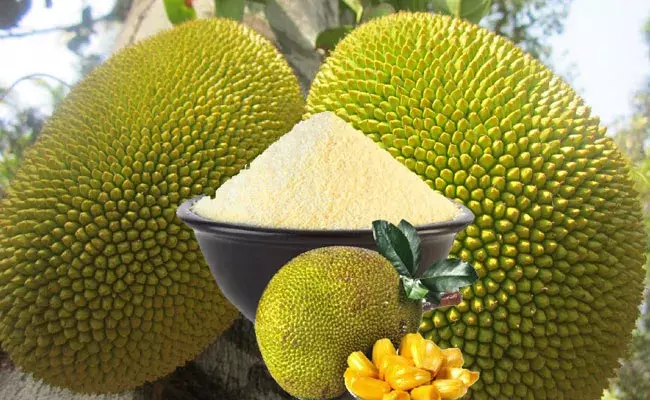 Jack Fruit Powder: పనసపొట్టుతో షుగర్ కు చెక్? Jack Fruit Powder: పనసపొట్టుతో షుగర్ కు చెక్?
