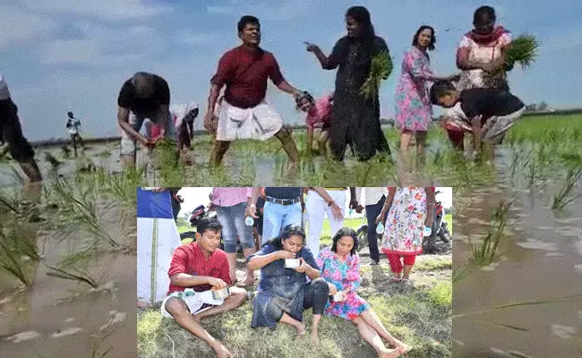 Prakasham : పంట పొలంలో నాట్లు వేసిన కలెక్టర్.. Prakasham : పంట పొలంలో నాట్లు వేసిన కలెక్టర్..