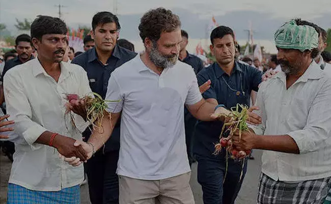 Rahul Jodo Yatra: రాహుల్ పాద యాత్రలో.. ఏపీ, తెలంగాణ నేతలు.. Rahul Jodo Yatra: రాహుల్ పాద యాత్రలో.. ఏపీ, తెలంగాణ నేతలు..