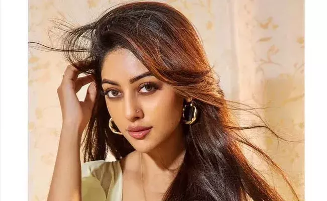 Anu Immanuel: ఏంటా ప్రశ్నలు.. ఇంకేం లేవా: రిపోర్టర్‌పై అను ఫైర్