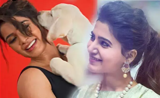 Samantha: సమంతకి ఏమైంది.. ఇలా మారిపోయింది.. Samantha: సమంతకి ఏమైంది.. ఇలా మారిపోయింది..