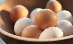 Eggs: రోజుకో గుడ్డు.. వీటితో కలిపి తింటే ఆరోగ్యంపై..