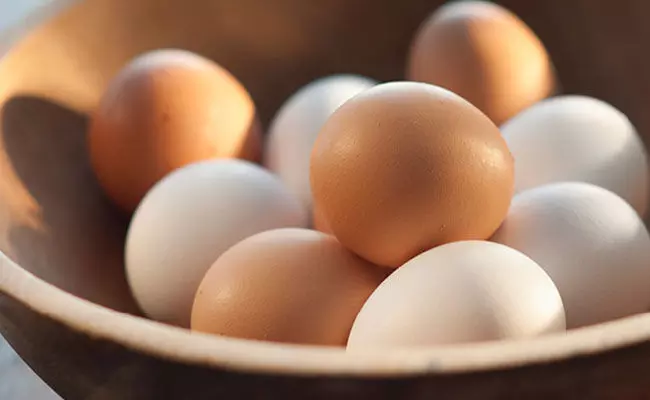 Eggs: రోజుకో గుడ్డు.. వీటితో కలిపి తింటే ఆరోగ్యంపై.. Eggs: రోజుకో గుడ్డు.. వీటితో కలిపి తింటే ఆరోగ్యంపై..