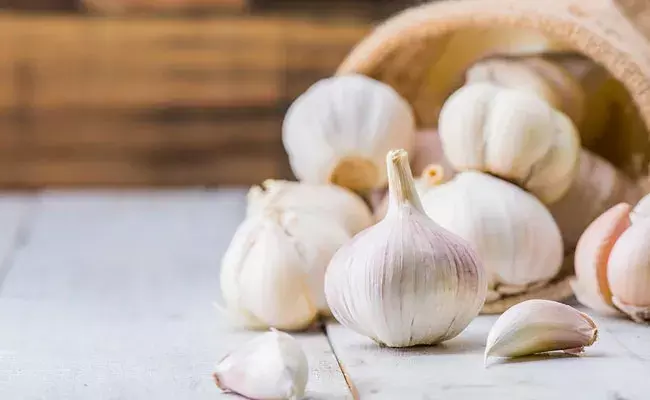 Garlic Benefits: పురుషుల్లో వంధత్వం.. సంతానోత్పత్తిపై వెల్లుల్లి ప్రభావం.. Garlic Benefits: పురుషుల్లో వంధత్వం.. సంతానోత్పత్తిపై వెల్లుల్లి ప్రభావం..