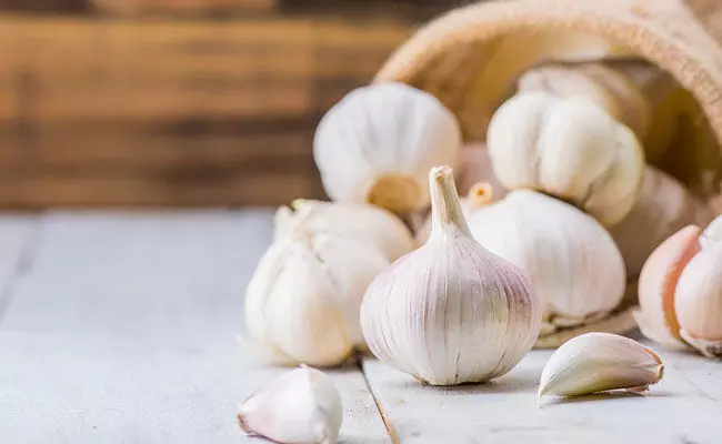 Garlic Benefits: పురుషుల్లో వంధత్వం.. సంతానోత్పత్తిపై వెల్లుల్లి ప్రభావం..