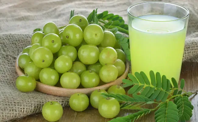 Amla Health Benefits: రోగనిరోధక శక్తిని పెంచే ఉసిరి.. 5 అద్భుతమైన ఆరోగ్య ప్రయోజనాలు Amla Health Benefits: రోగనిరోధక శక్తిని పెంచే ఉసిరి.. 5 అద్భుతమైన ఆరోగ్య ప్రయోజనాలు