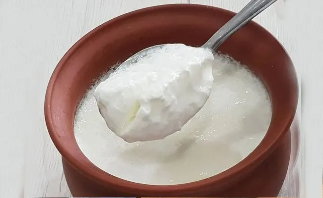 curd in winter: అసలే శీతాకాలం.. అన్నంలో పెరుగు తింటే.. curd in winter: అసలే శీతాకాలం.. అన్నంలో పెరుగు తింటే..