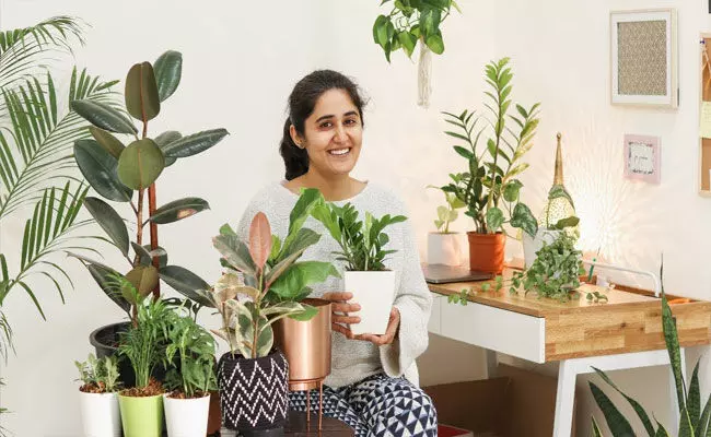 Indoor Plants: ఇండోర్ ప్లాంట్స్తో ఇంటికి అందం.. మనసుకి ఆహ్లాదం.. Indoor Plants: ఇండోర్ ప్లాంట్స్తో ఇంటికి అందం.. మనసుకి ఆహ్లాదం..